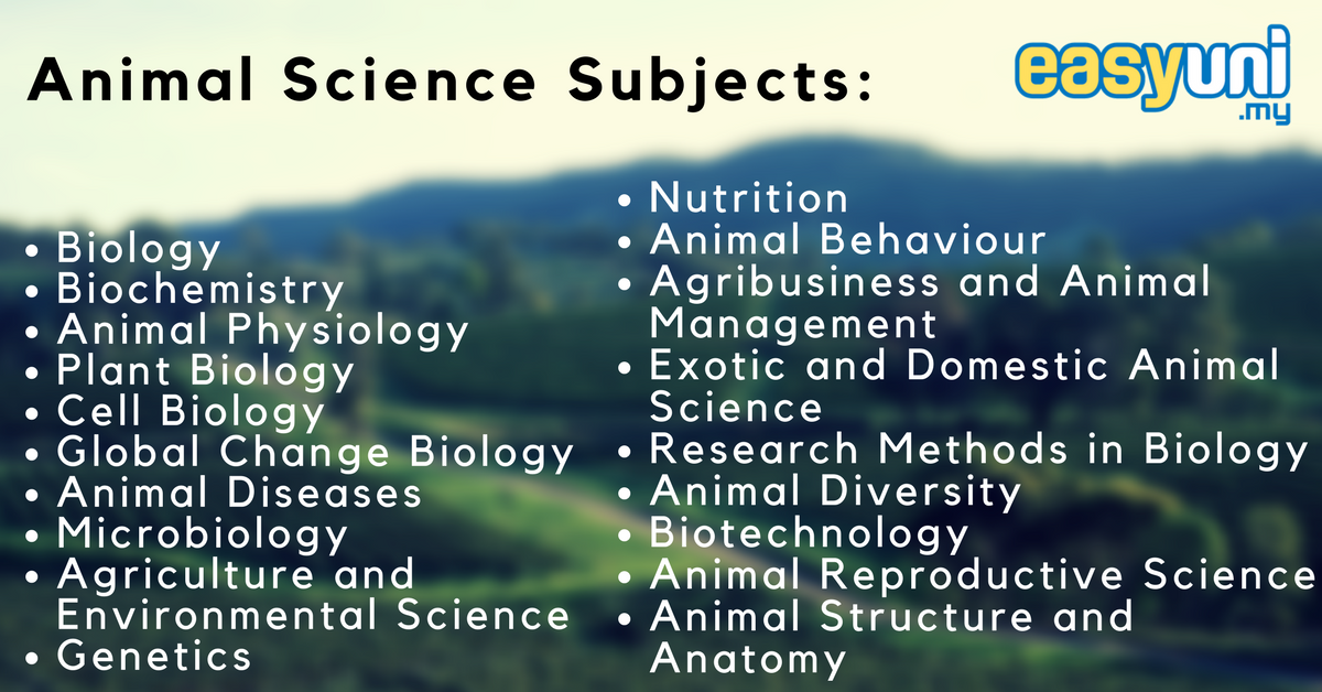 bachelor of science in agriculture major in animal science